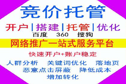 竞价代运营助力电商销量翻倍案例